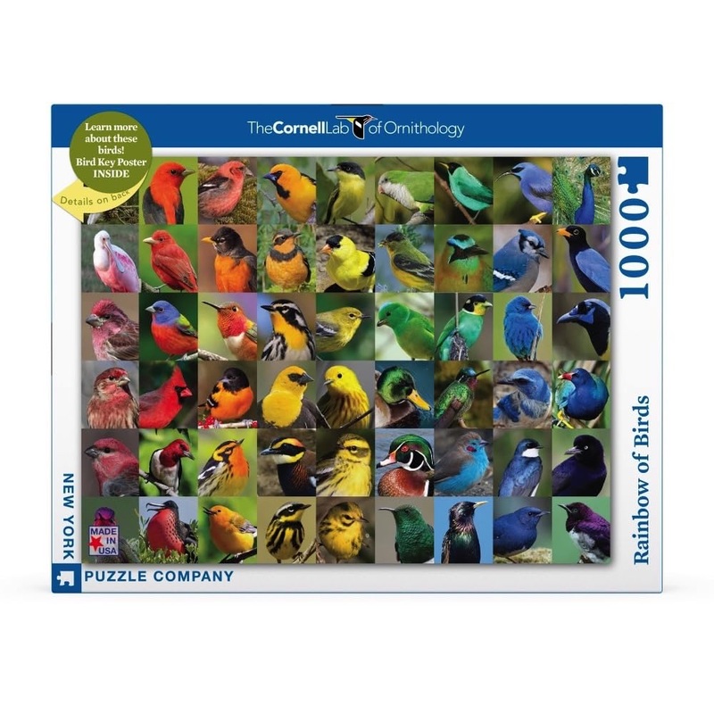 New York Puzzle Company - Cornell Lab Rainbow Of Birds - 1000 Piece Jigsaw Puzzle For Family Game Nights