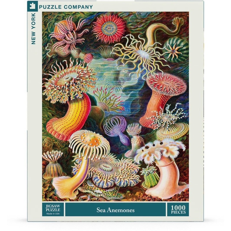 New York Puzzle Company - Vintage Images Sea Anemones - 1000 Piece Jigsaw Puzzle For Family Game Nights By Ernst Haeckel