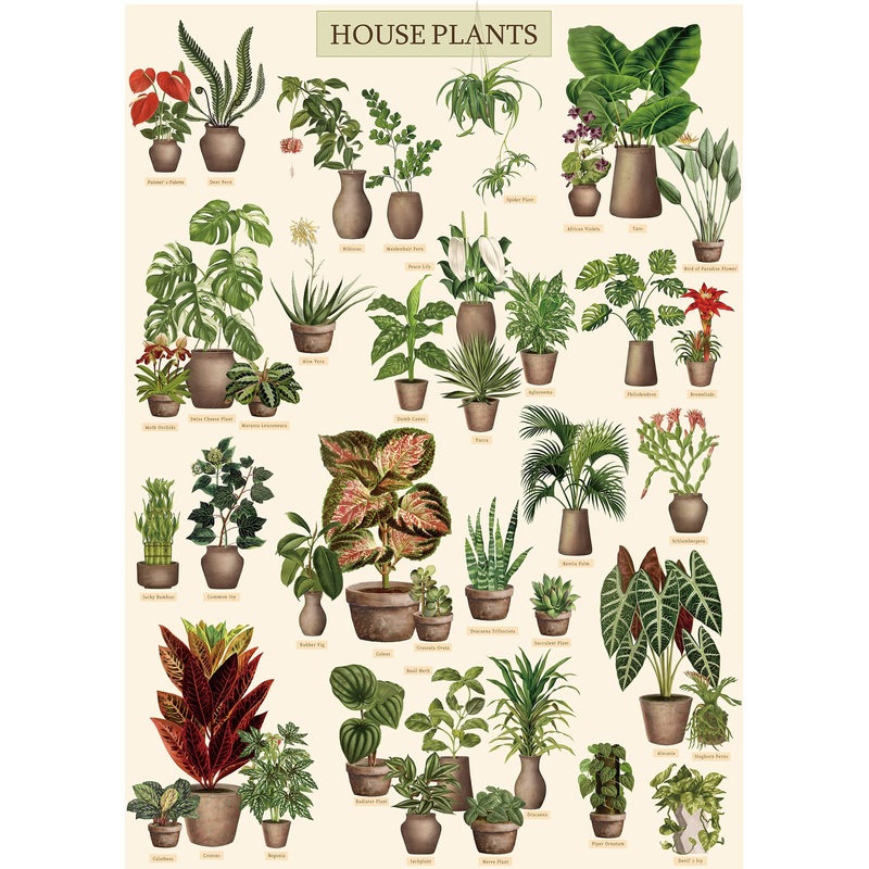 Vintage Houseplant Puzzle 1000 Pieces For Adult, Botany Succulent House Plant Puzzle, 39 Common Indoor Plants Jigsaw Puzzles