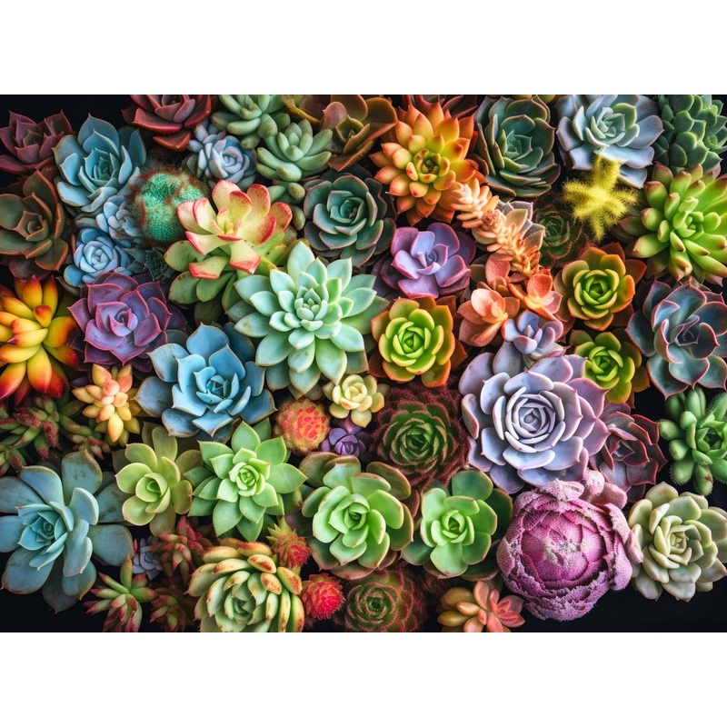 Cross & Glory - Succulent Symphony - 1000 Piece Jigsaw Puzzle For Adults | Premium Quality | Colorful Artwork Puzzle | Brain Teasing Fun & Perfect Wall Art