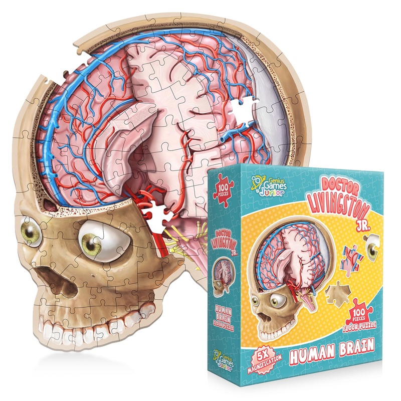 Human Brain Floor Puzzle - Doctor Livingston Jr Anatomy Model - 100 Piece Jigsaw Puzzle - Kids Puzzle And Stem Game About Brain - Medically Accurate Science Toys For Kids, Toddlers, Teens