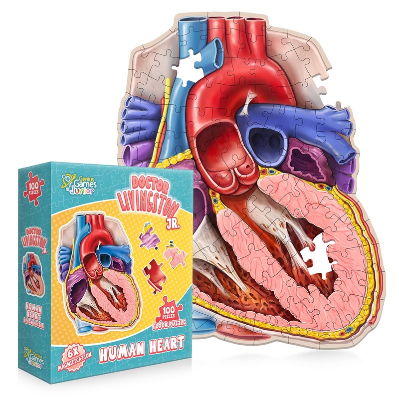 Human Heart Anatomy Floor Puzzle  Genius Games Doctor Livingston Jr Anatomy Toy - Kids Puzzles & Science Toys - Human Heart Anatomy Model - 100 Piece Jigsaw Puzzles For Kids, Toddlers, Teens