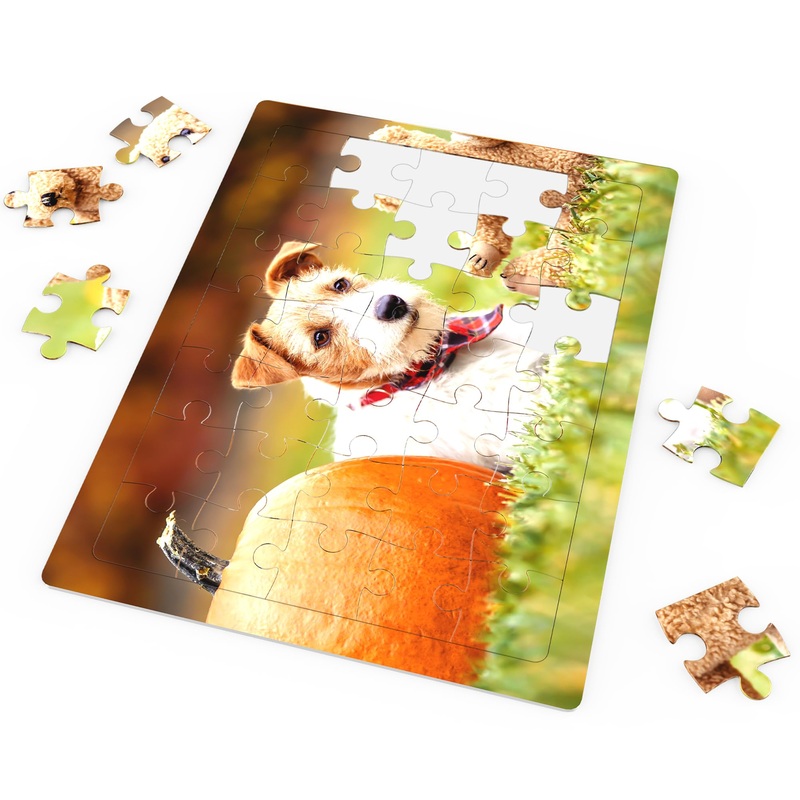 Homelifairy Custom Puzzles Personalized Puzzles From Photos For Kids Ages 3 Years Old And Up, 35 Piece Customized Jigsaw Toddler